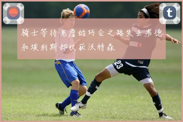 骑士等待老詹的巧合之路失去韦德和埃利斯却收获沃特森